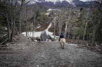 Cabalgata fueguina...