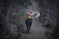 Cabalgata fueguina...