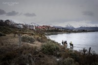 Cabalgata fueguina...