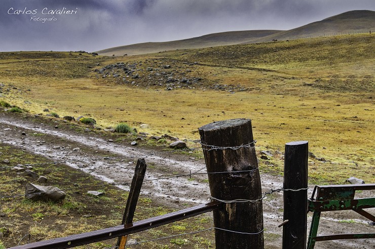 Foto 2/Los Campos Patagonicos en su esplendor...