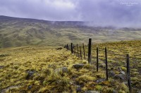 Los Campos Patagonicos en su esplendor...