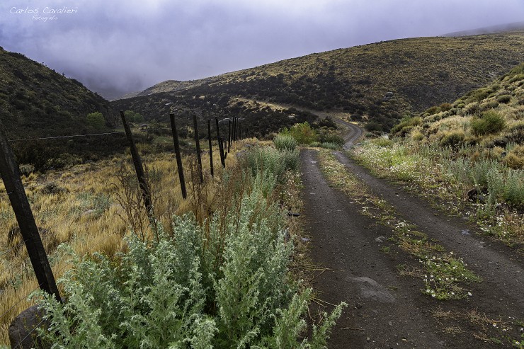 Foto 4/Los Campos Patagonicos en su esplendor...