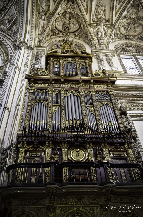 Foto 3/Mezquita de Cordoba, Andalucia.