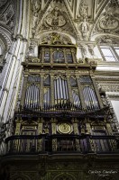 Mezquita de Cordoba, Andalucia.