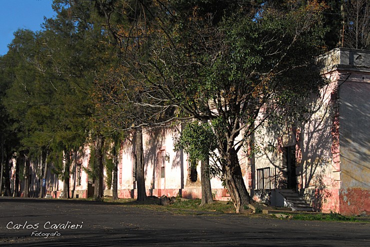 Foto 2/Un isla en medio del Rio de la Plata...