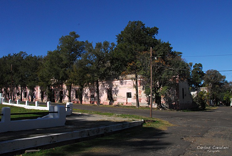 Foto 4/Un isla en medio del Rio de la Plata...