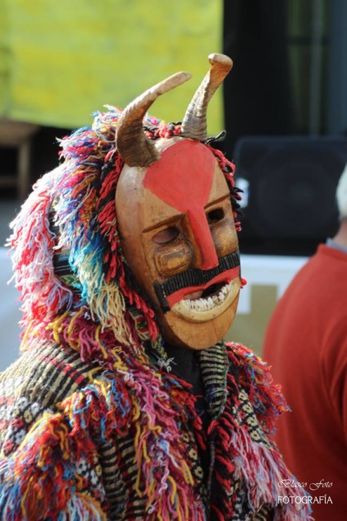 Foto 2/Carnavales