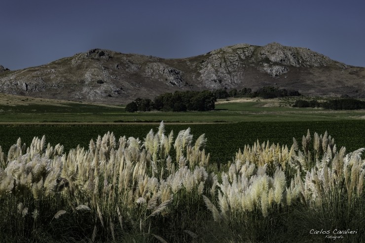 Foto 5/La belleza del campo bonaerense...