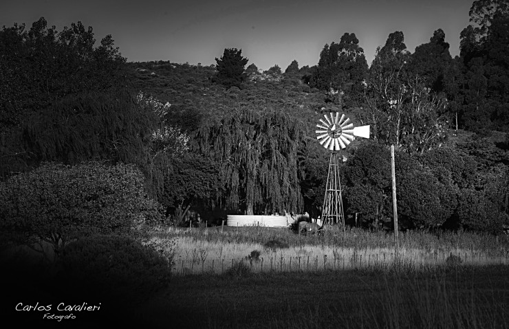 Foto 1/Vida de campo...