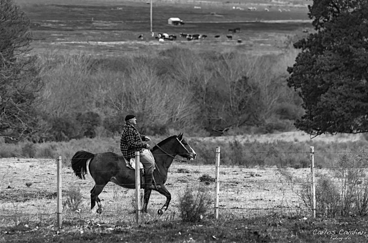 Foto 2/Vida de campo...