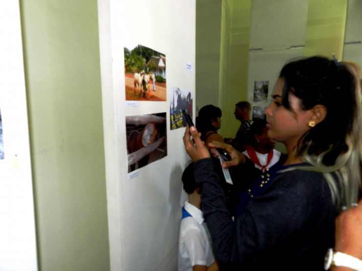 Foto 4/Da Mundial del Medio Ambiente en Cuba