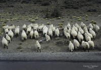 La Vida en la orilla...