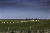 Vistas de campo adentro...