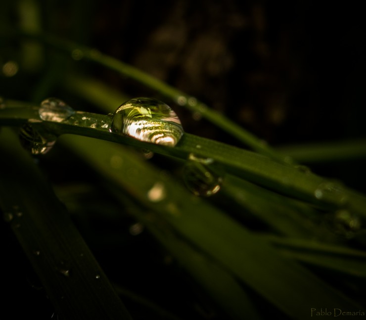 Foto 1/Gotas de Roco