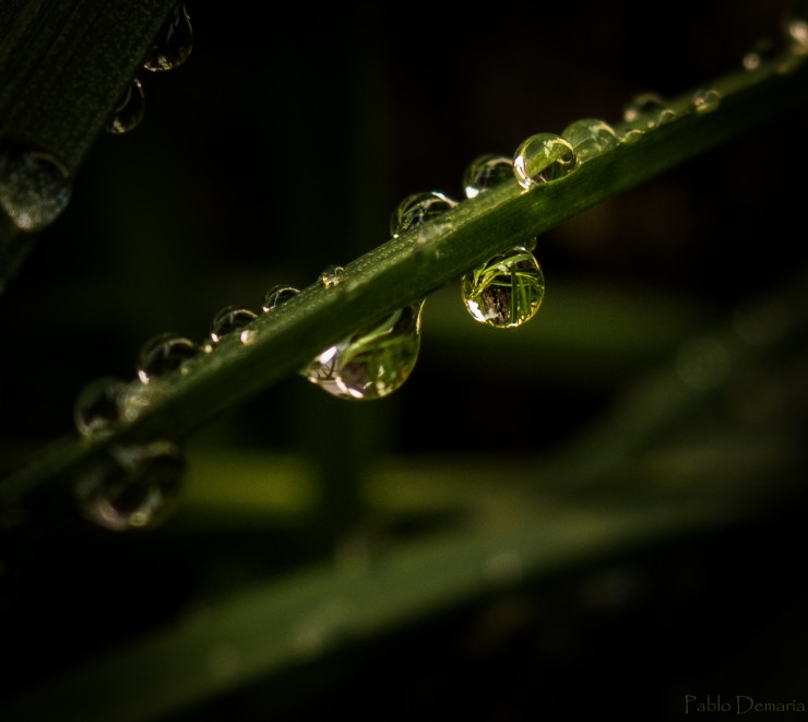 Foto 4/Gotas de Roco