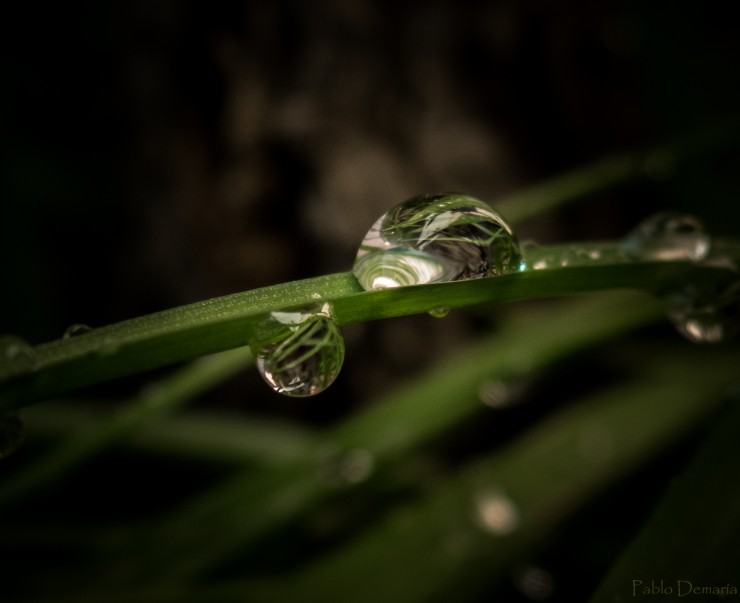 Foto 5/Gotas de Roco