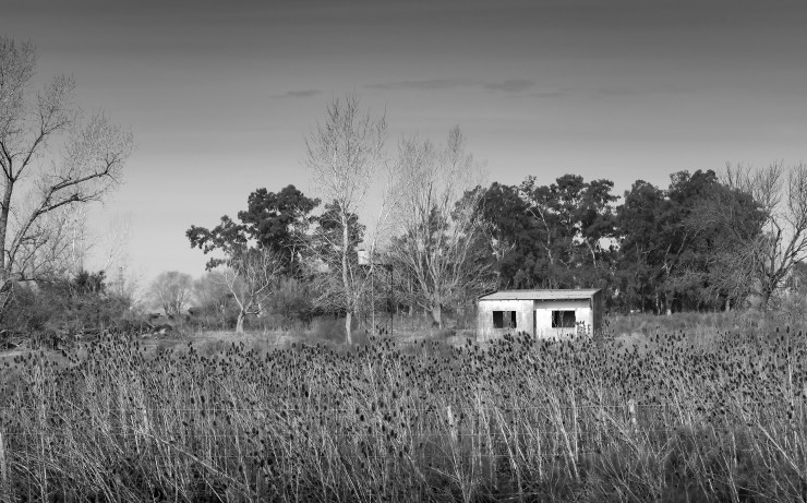 Foto 1/Abandonadas