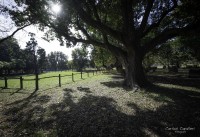 Un Paseo por el INTA.