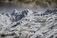 Los Grandes Glaciares del sur