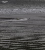 Playas de Puerto Madryn...