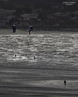 Playas de Puerto Madryn...