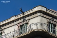 Setenta balcones y ninguna flor...