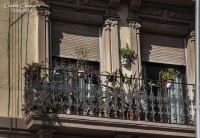 Setenta balcones y ninguna flor...