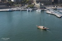 El puerto de Barcelona visto por una gaviota...