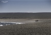 Caminando las playas del sur...