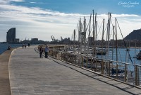 En el Puerto de Barcelona...