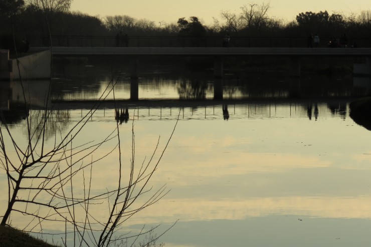 Foto 4/reflejos......