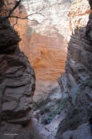 La Garganta del Diablo, Valles Calchaquies.