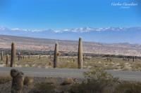 Quebrada del Toro,Salta