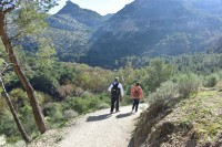 Caminando las montaas de Andaluca...