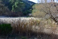 Caminando las montaas de Andaluca...