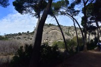 Caminando las montaas de Andaluca...