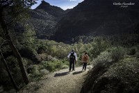 Caminando Andalucia...