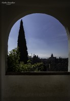 Las Ventanas de la Alhambra...