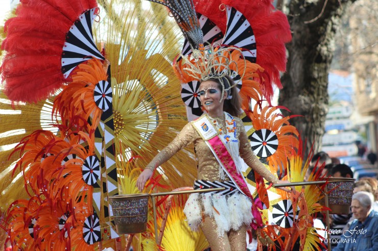 Foto 3/Carnavales