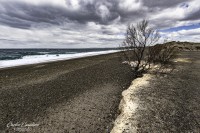 Nuestras playas patagonicas...