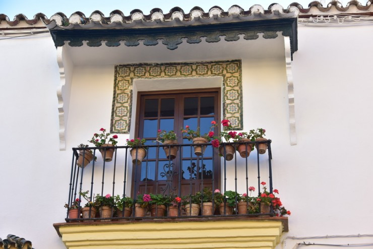 Foto 1/Las ventanas de las seoras del pueblo...