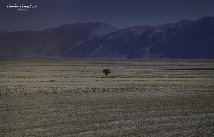 Foto 2/Los Campos de Turquia...