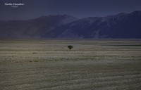 Los Campos de Turquia...