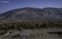 Los Campos de Turquia...