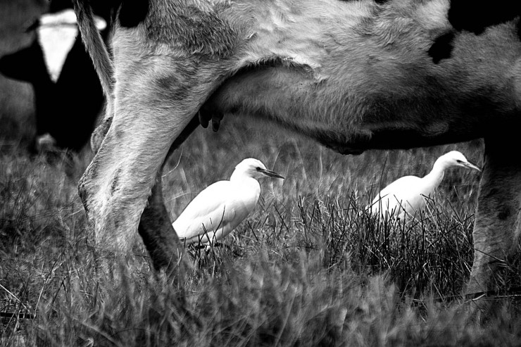 Foto 4/Un dia en la reserva