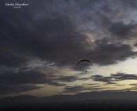 Volando en Libertad...