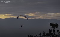 Volando en Libertad...