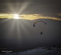 Volando en Libertad...