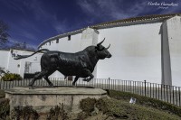 Plaza de Toros de Ronda, Andalucia...