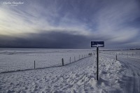 Los campos de Islandia...